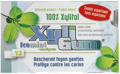 Kauwgom icemint  24x15 gr.