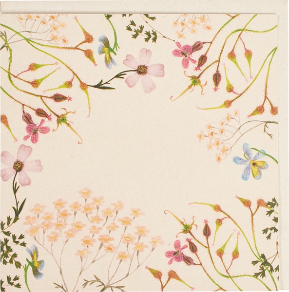 Postkaart weidebloemen  5x1 stuks