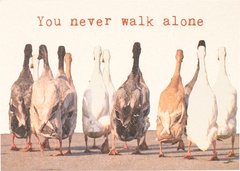 Postkaart you never walk alone  10x1 stu