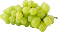 Witte druiven Demeter 5x1 kg.
