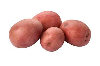 Aardappel rood kruimig BIO 10x1 kg.