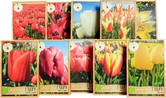 Ecobulbs BIO 50x1 stuks
