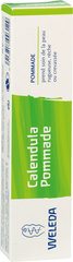 Calendulazalf pommade 1x25 gr.