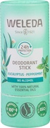 Deodorantstick 24h eucalyptus  1x50 gr.