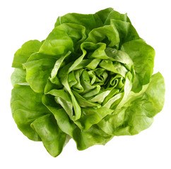 Kropsla BIO 8x1 stuks