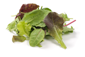 Mesclun italie babyleaf zakje 250gr