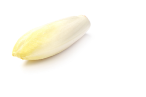 Witlof fijn 5 kg.