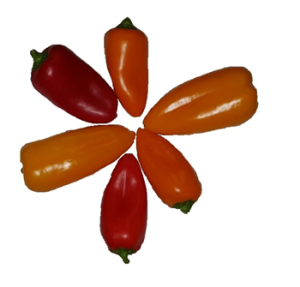 Paprika mini sweet bite p/kg