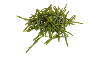 Zeekraal 250 gr