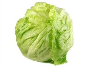 IJsbergsla krop