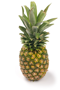 Ananas gold maat 6 p/st.