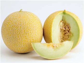 Galia meloen maat 5