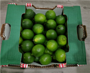 Limoenen/limes 54st.