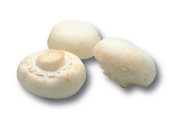 Champignons wit 250gr.