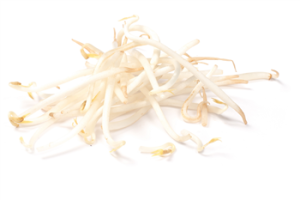 Taugé verpakt 500gr.