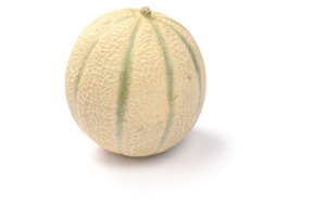 Meloen cantaloupe maat 5 p/st