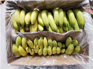 Bananen doos 18 kg.