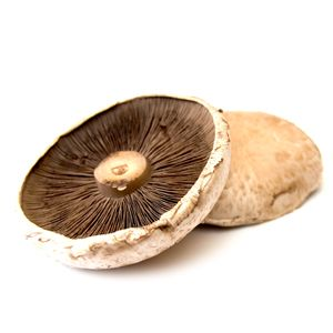Portabello 1,5 kg/kist