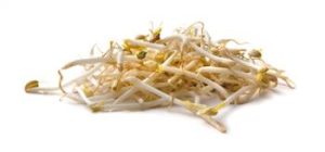 Taugé verpakt 1 kg.
