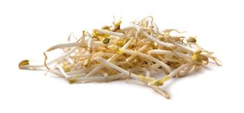 Taugé verpakt 1 kg.