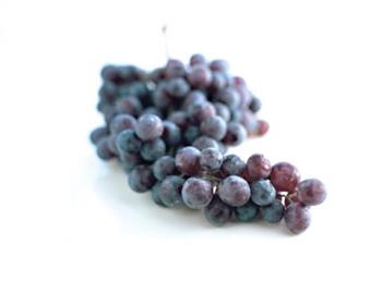 Druiven blauw p/kg