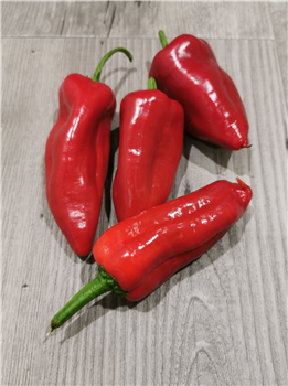 Paprika punt rood p/kg