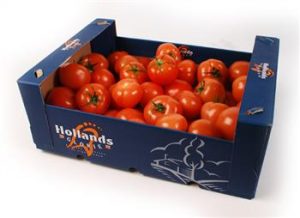 Tomaten doos 6 kg.