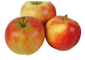 Appels Elstar 70/75 p/kg