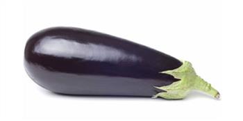 Aubergine p/st.