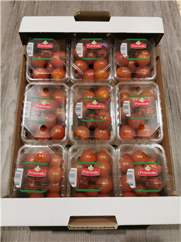 Tomaat cherry 9x250gr