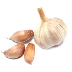 Knoflook bolletje p/st.