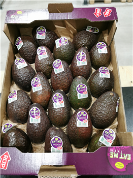 Avocado RTE ca p/doos