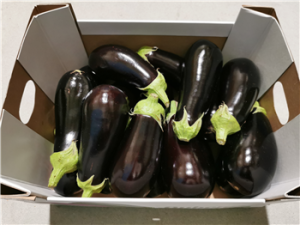 Aubergine doos 15 st.