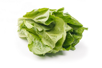 Sla Romano per krop