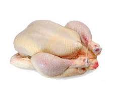 Soepkip Vers ± 3000 gr. p/kg