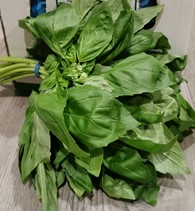 Basilicum verpakt 80gram