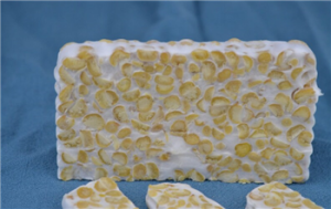 Tempeh pak 400 gr.