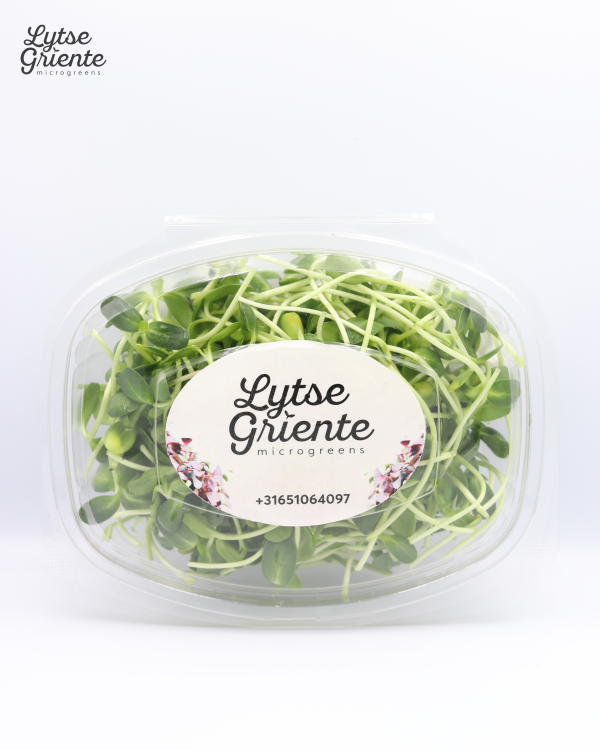 Lytse Griente Zonnebloemen