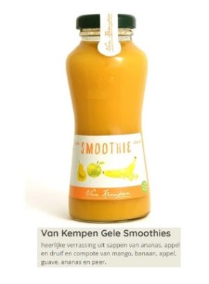 Smoothie Geel 15x20cl.