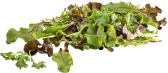 Babyleaf BIO 1 kg.