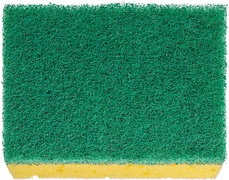 Schuurspons  1x10 stuks