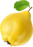 Kweepeer Demeter 5x1 kg.