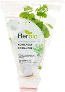 Pluk kruiden Koriander BIO 6x1 stuks