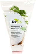 Pluk kruiden krul Peterselie BIO 6x1 stu