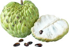 Cherimoya BIO 12x1 stuks