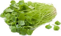 Postelein Demeter 1x1 kg.