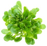 Veldsla BIO 1x1 kg.