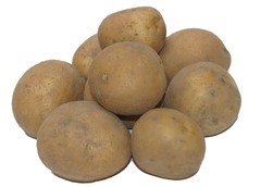 Aardappel Vast BIO 10x1 kg.
