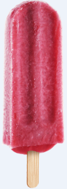 Fruitijsje Bosvrucht 20 x 120 ml.