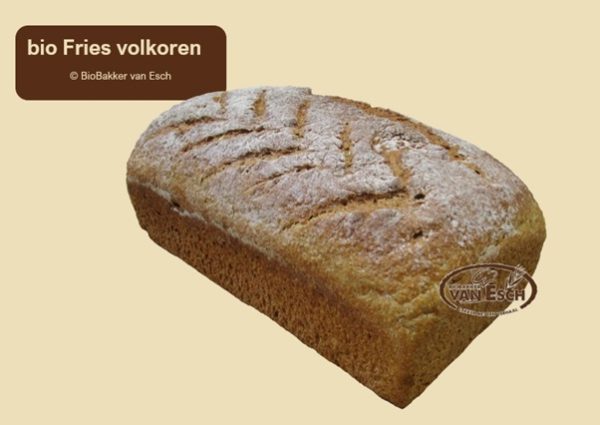 Fries volkorenbrood lang BIO p/st.